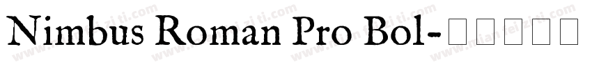 Nimbus Roman Pro Bol字体转换